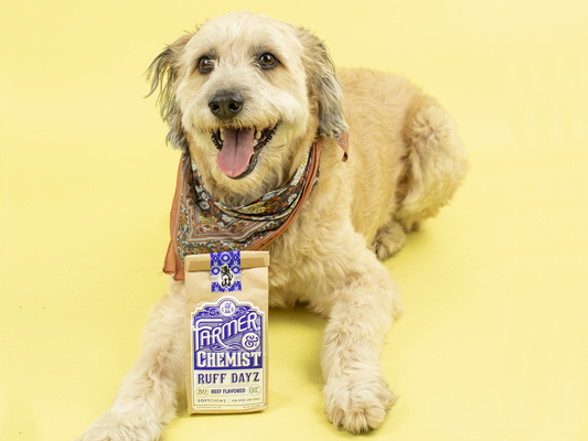 What are the Benefits of CBD for Pets?
