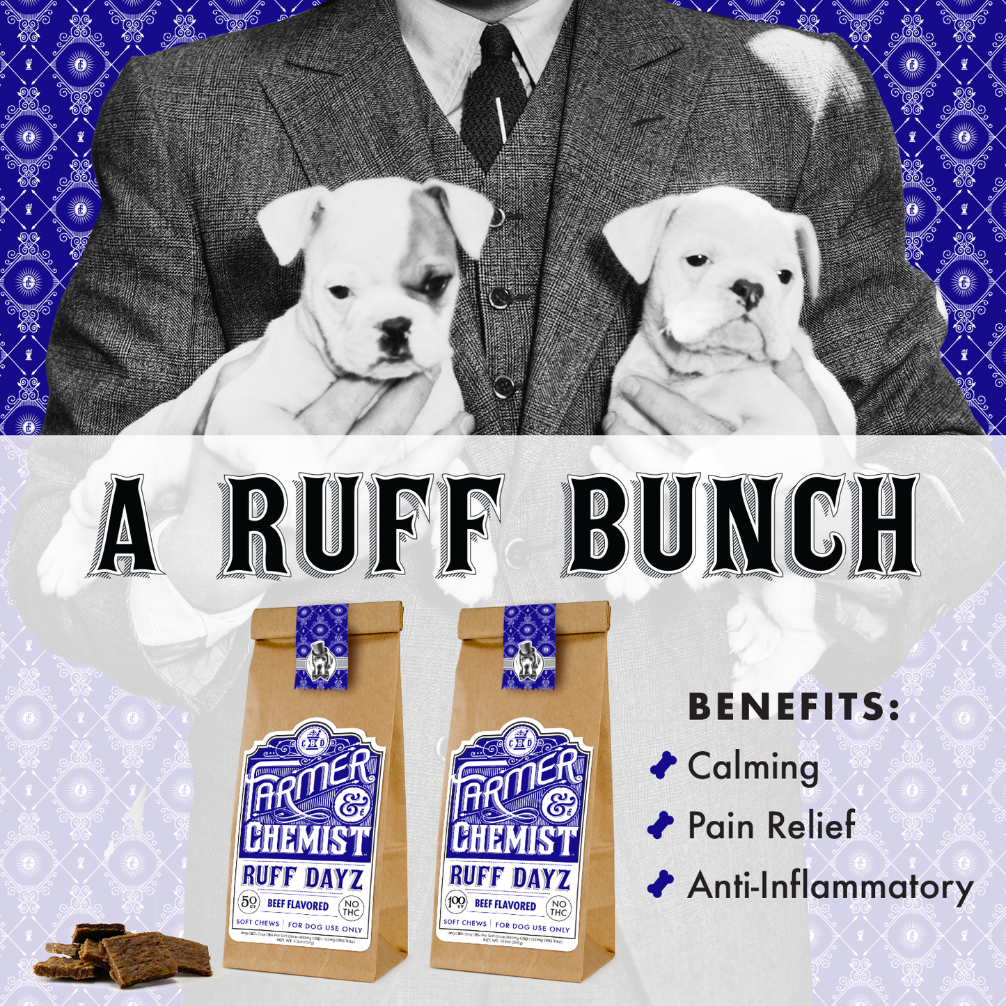 RUFF DAYZ - Masticables blandos para perros con sabor a ternera de 50 ct
