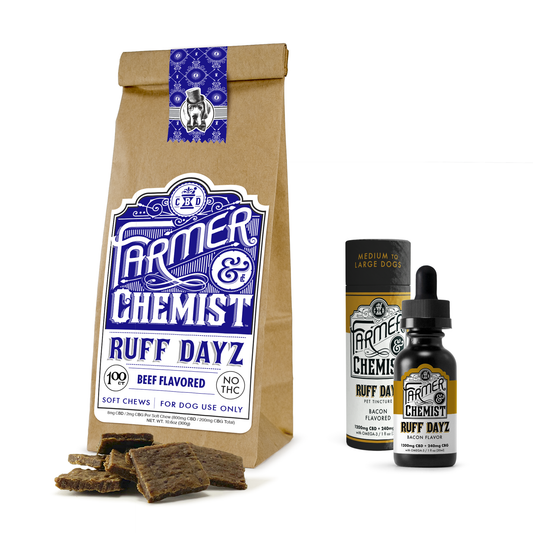 CBD and CBG for Pets: Supporting Calm, Comfort, and Wellness Naturally