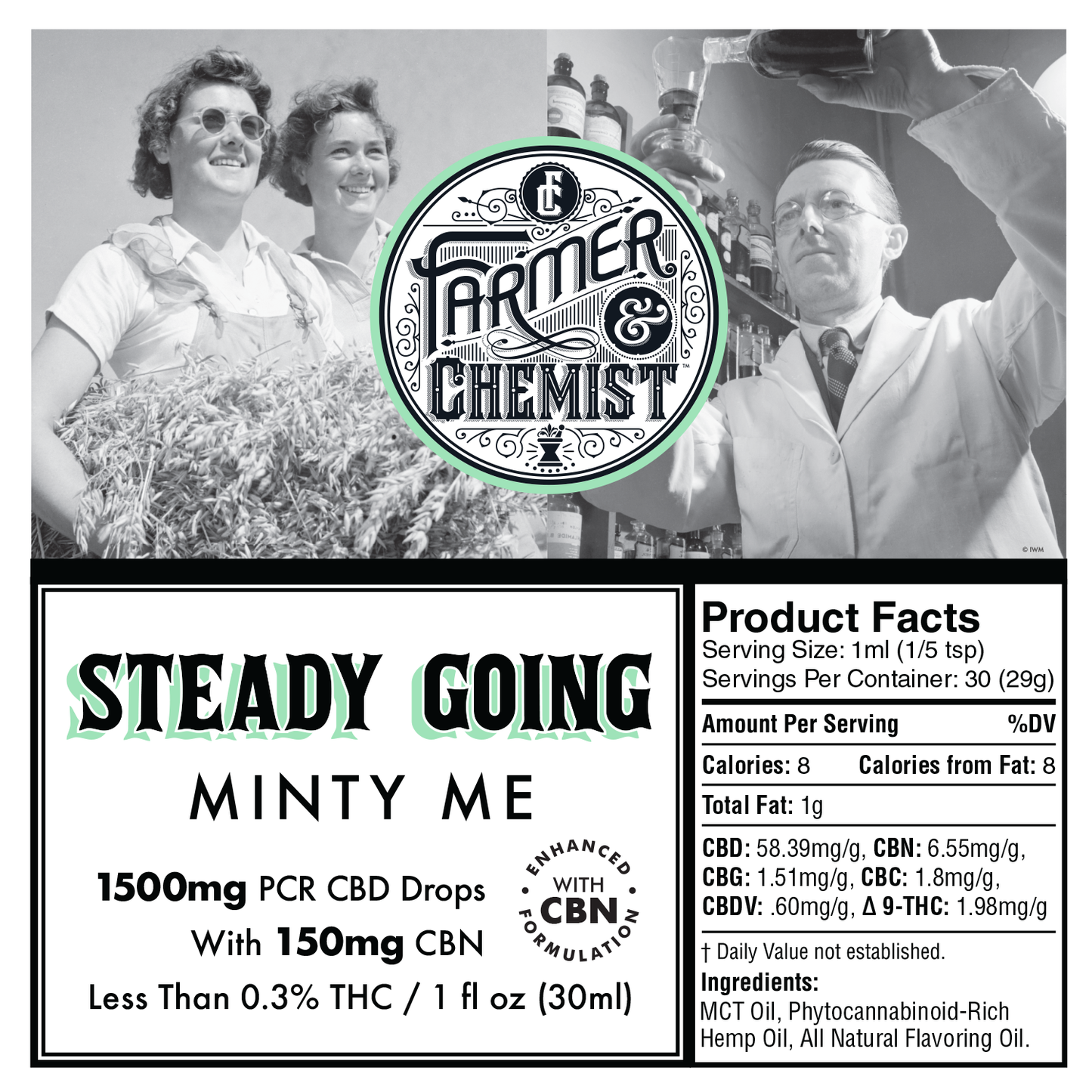 STETIG GEHEN - Minty Me 1500 mg PCR-Tinktur