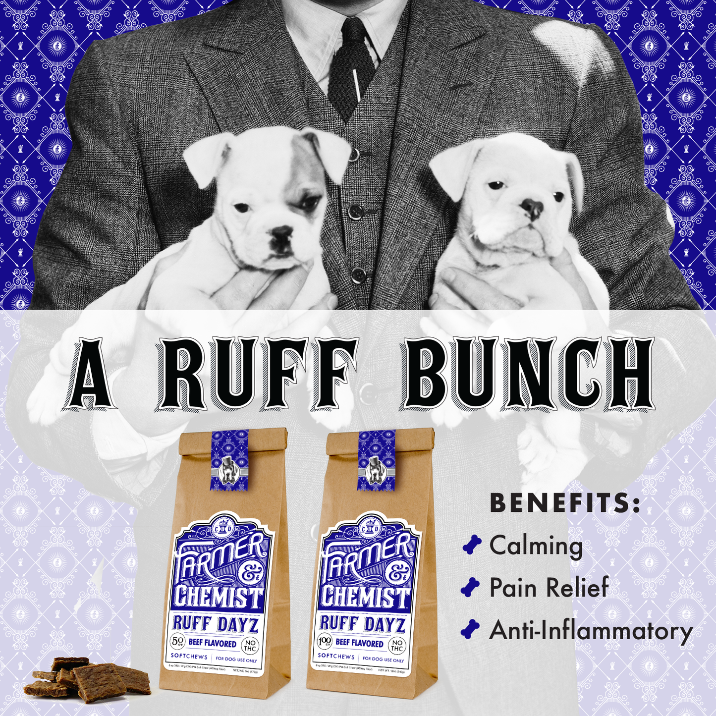 RUFF DAYZ - Masticables suaves para perros con sabor a carne de res de 100 ct (paquete de 4)