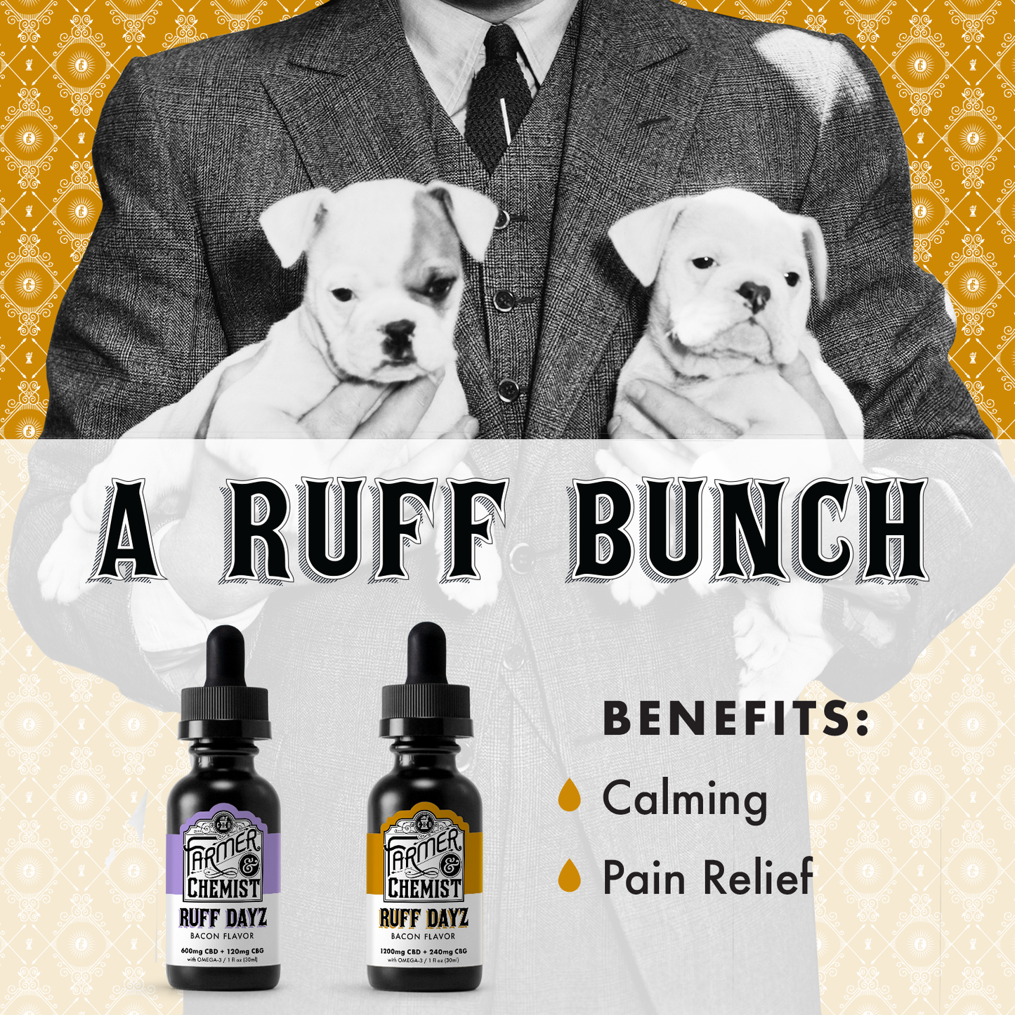 RUFF DAYZ - Tintura para perros medianos - grandes de 1200 mg (caja de 4)