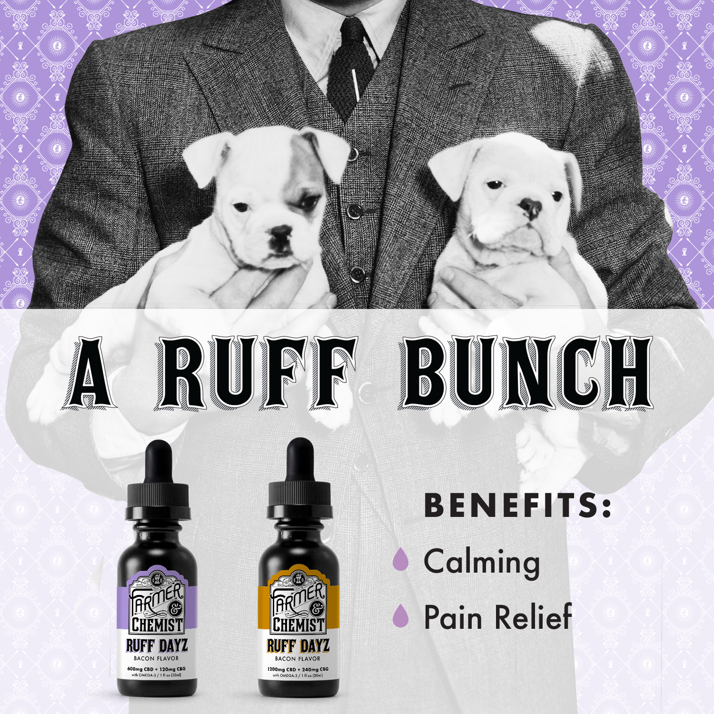 RUFF DAYZ - 600mg Small Pets Tincture (Case pack of 4)