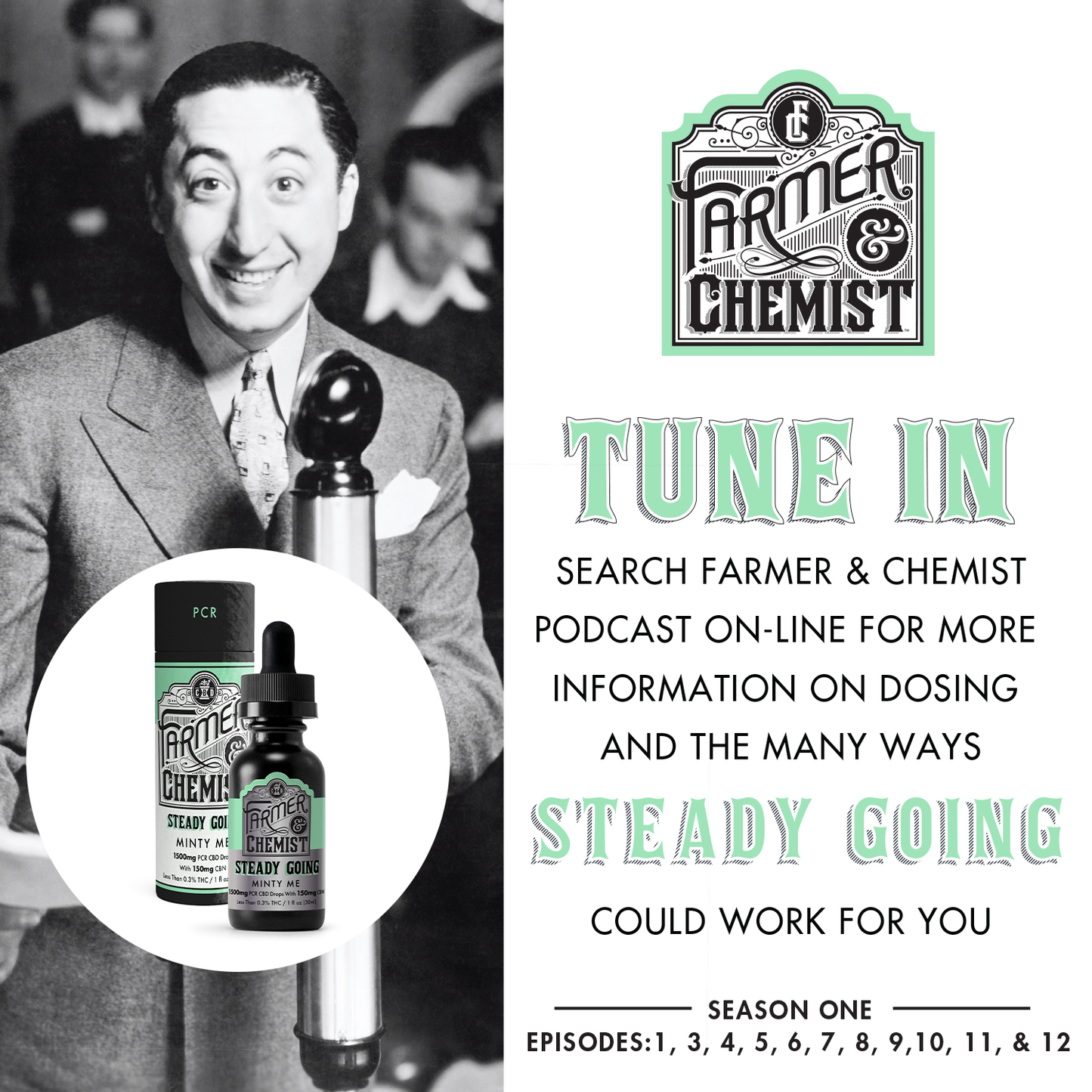 STEADY GOING - Minty Me 1500mg PCR Tincture (Case pack of 4)
